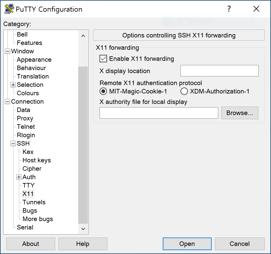 putty_X11